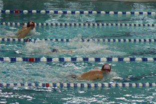 米兰体育登陆-世界短池游泳锦标赛多项世界纪录诞生，第一届世界短池游泳锦标赛