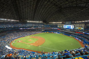 米兰官网-世界击剑锦标赛中国女花首次进四强，击剑世界冠军女